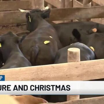 From the Ground Up: Holiday celebrations made possible by the agriculture industry