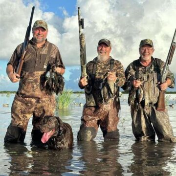 Veteran waterfowl hunter tells how to find ducks, doves on public land