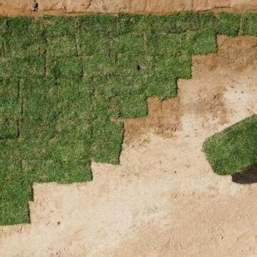 Conroe ranked Houston’s top suburb for growth as Texas reclaims top spot in inbound moves, U-Haul says