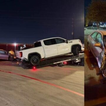 Constable K9 helps capture suspect after vehicle theft pursuit