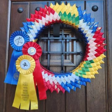 3GzDOW_17wnroR600.jpg Texas woman creates art with 4-H ribbons