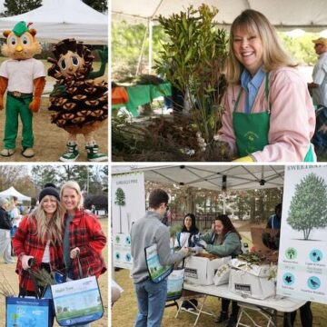 The Woodlands Township to celebrate 50th annual Arbor Day Tree Giveaway on January 31