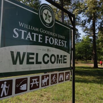 Conroe area may see and smell smoke from prescribed burn in W.G. Jones State Forest, officials say