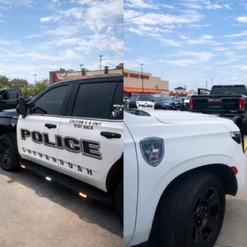 Shenandoah police conclude successful vehicle theft sting operation