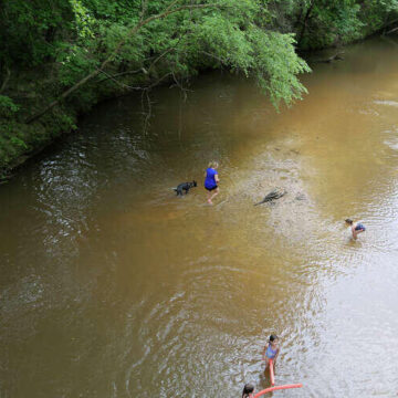 Houston Audubon acquires 128-acre nature sanctuary in eastern Montgomery County