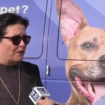 Montgomery Co. non-profit that has fixed thousands of dogs, cats seeks community’s help