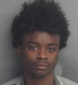 Deputy Nearly Struck as Driver Flees Traffic Stop, Leads Police on 100-MPH Chase Into Houston