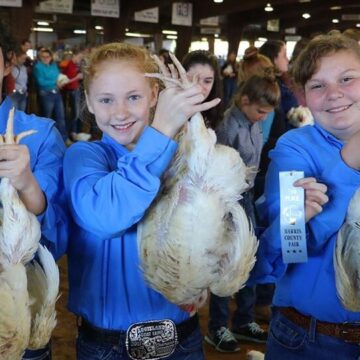 Permanent Home for Harris County Fair & Rodeo Moves Forward in Tomball with New Arena Filings on Telge Road