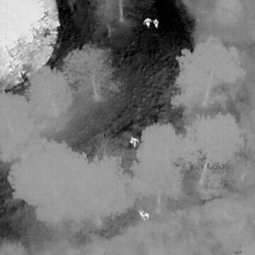 Spring Pond Chase, ‘Iceman’ Drone And K-9 Lanzo Run Down Fleeing Passenger