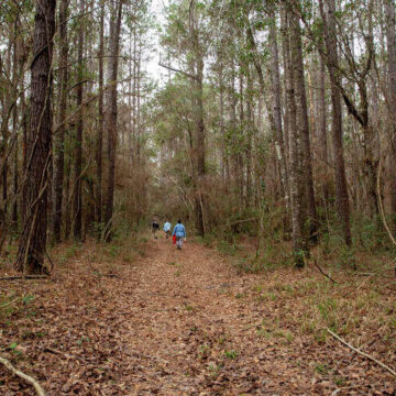 3PHXhi_19E3nAzR00.jpg New 128-acre sanctuary protects forest in booming Montgomery County