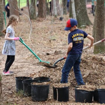 Native Plants Near You: Supporting Your Community One Tree at a Time
