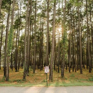 Houston suburb surprises as a booming millennial hotspot in 2026