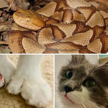 Texas Whataburger Manager Defends Employees, Fights Back with Tra