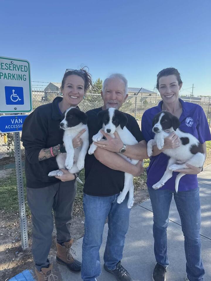 4MKIDd_19eTZwKM00.jpg 65 dogs transported from Montgomery County Animal Services